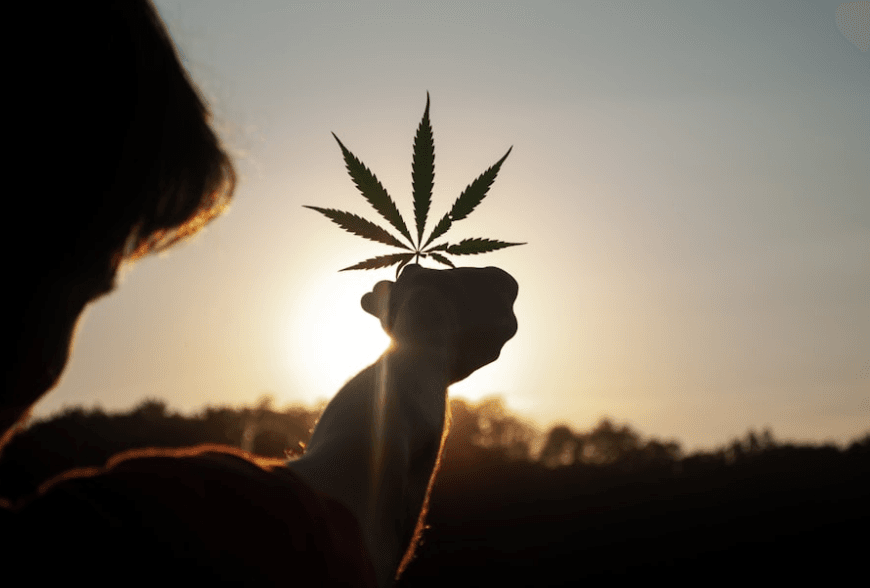 THC (Tetrahydrocannabinol) VS CBD (Cannabidiol), the effects ? Benefits ?