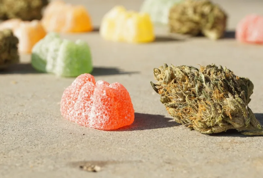 CBD, Hemp Food benefits ? Effects ? Safe Use ?