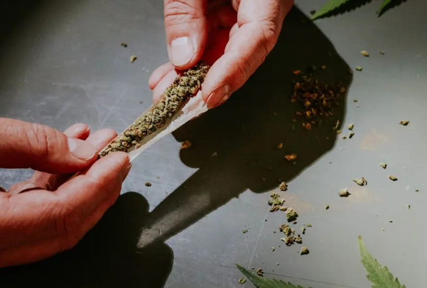 Endocannabinoid System & Benefits of Smoking CBD Weed 