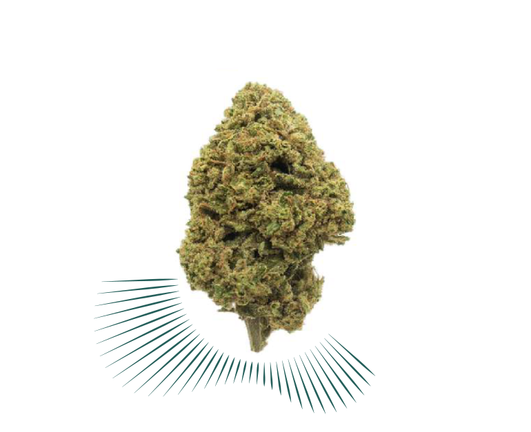 CBD Hemp Flowers - Thunder Berry - Image 2