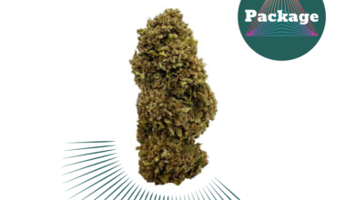 Snow White CBD offers a sweet and citrus flavor with woody notes, derived from its White Widow and Northern Lights lineage. Snow White has dense, sticky buds