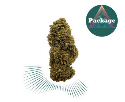 Snow White CBD offers a sweet and citrus flavor with woody notes, derived from its White Widow and Northern Lights lineage. Snow White has dense, sticky buds